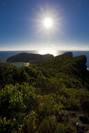 Mountain Lord Howe Island